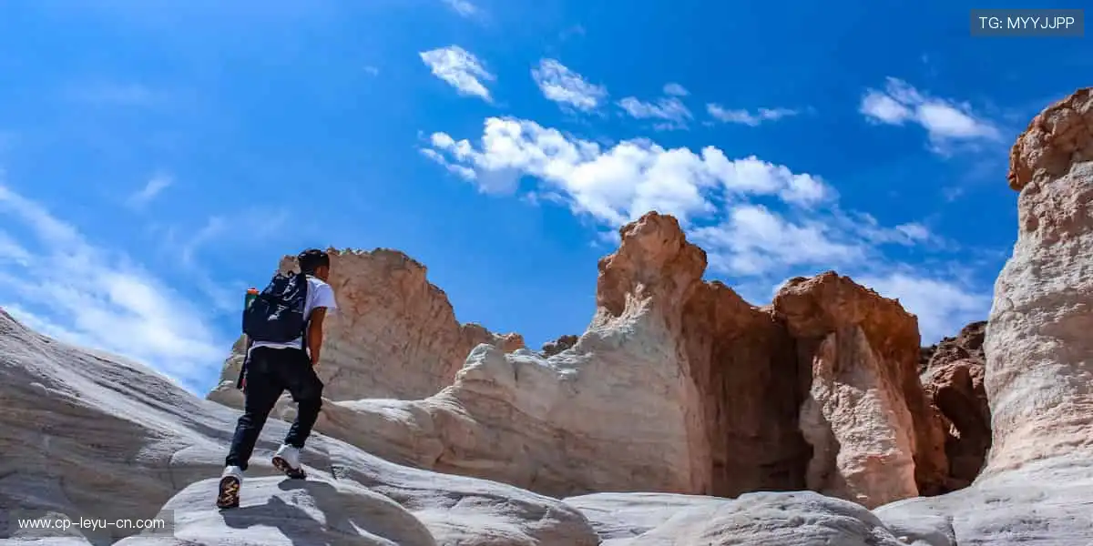 周边好物，粉丝专属！👕🎁 从球衣到纪念章，把热爱穿在身上！